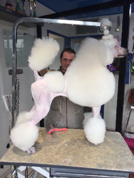 I'm so burlesque of star dancer